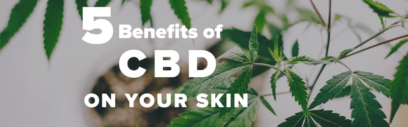 5 Benefits of CBD on Your Skin